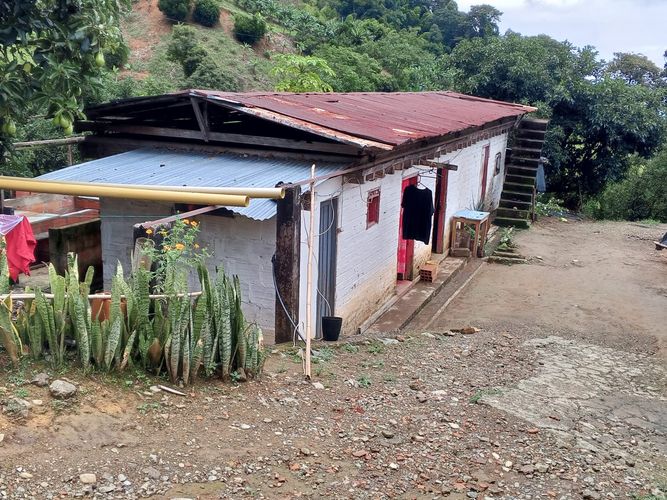 Finca en venta en Lleras, Manizales, 800 m² · foto 15 de 24