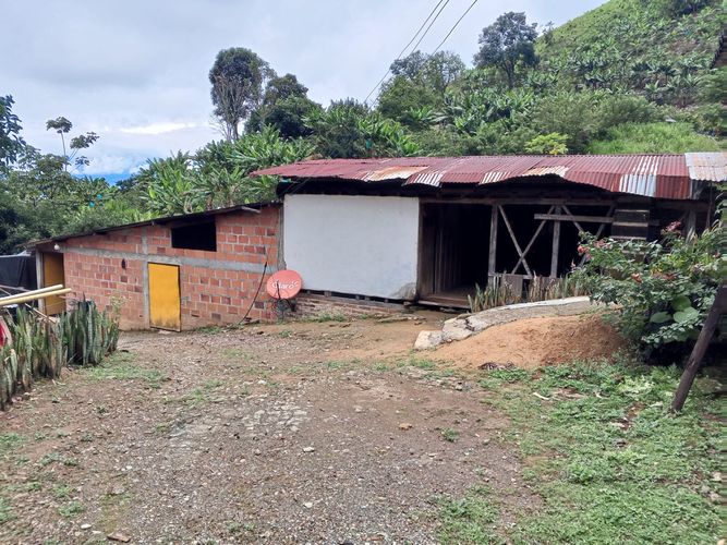 Finca en venta en Lleras, Manizales, 800 m² · foto 16 de 24