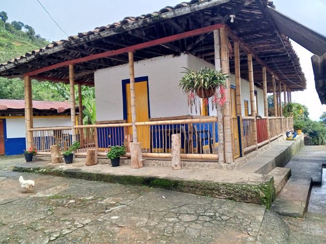 Finca en venta en Lleras, Manizales, 800 m² · foto 18 de 24