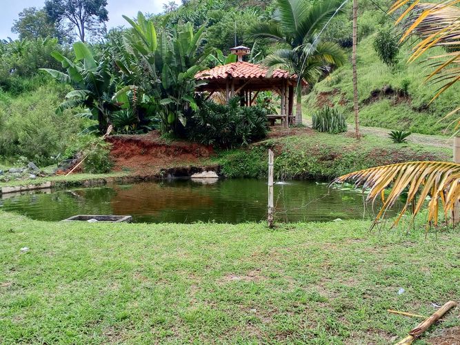 Finca en venta en Lleras, Manizales, 800 m² · foto 19 de 24