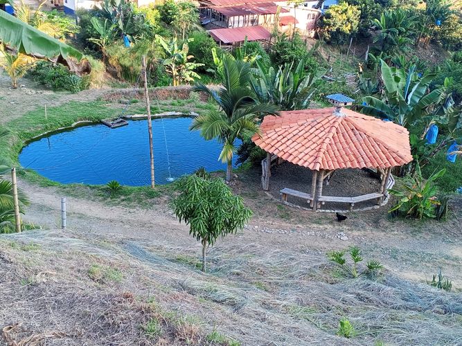 Finca en venta en Lleras, Manizales, 800 m² · foto 20 de 24