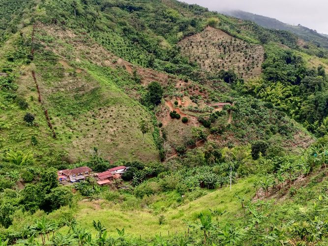 Finca en venta en Lleras, Manizales, 800 m² · foto 21 de 24