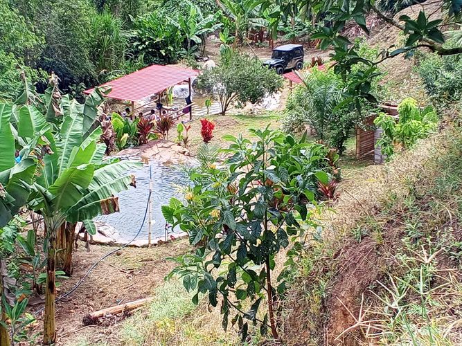 Finca en venta en Lleras, Manizales, 800 m² · foto 23 de 24