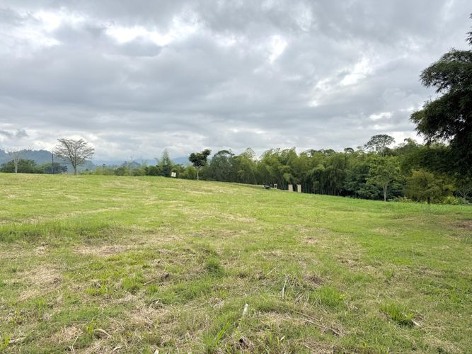 Lote en venta en Cerritos, Pereira · foto 9 de 11