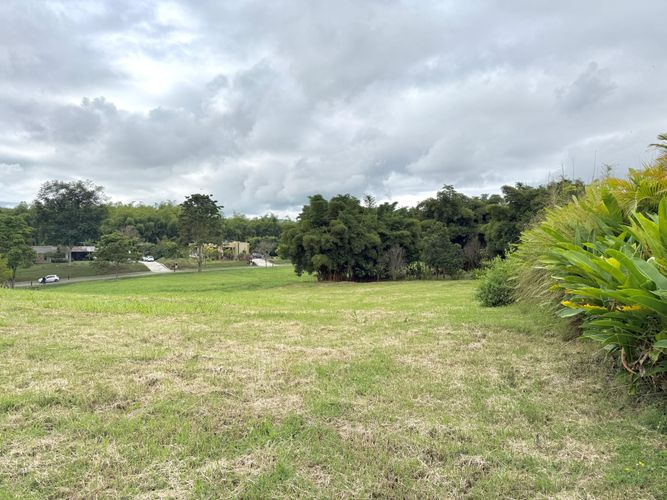 Lote en venta en Cerritos, Pereira · foto 11 de 11