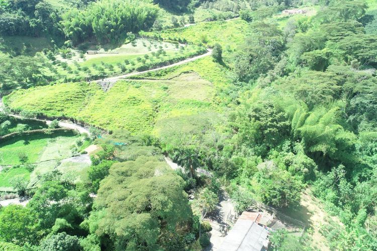 Lote en venta en La Cabaña, Manizales · foto 5 de 5