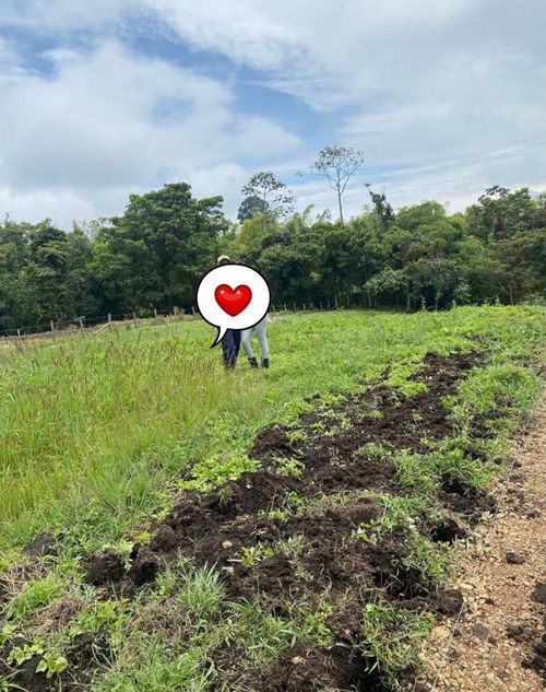 Lote en venta en La Bella, Pereira · foto 3 de 6