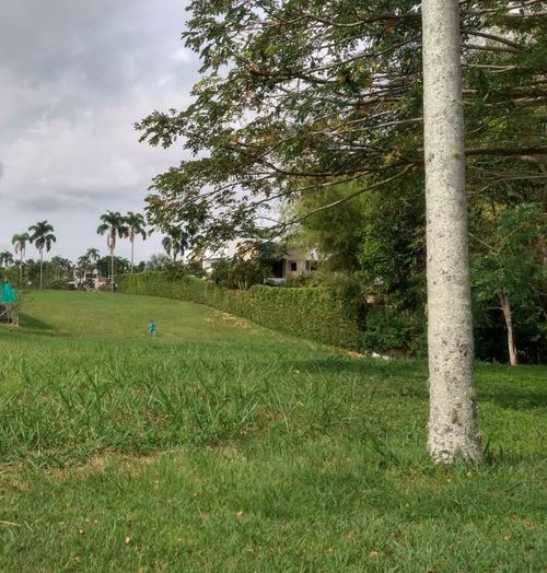 Lote en venta en Cerritos, Pereira, 1833 m² · foto 9 de 11