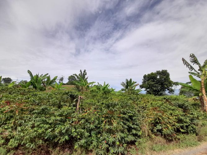 Lote en venta en Arabia, Pereira · foto 13 de 23