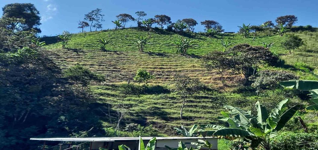 Lote en venta en Lleras, Manizales, 10000 m² · foto 2 de 24