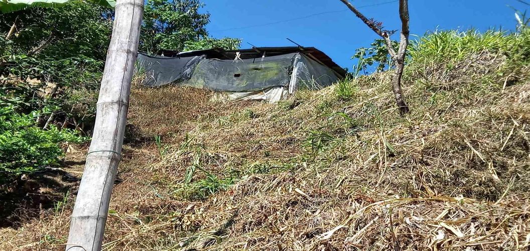 Lote en venta en Lleras, Manizales, 10000 m² · foto 7 de 24
