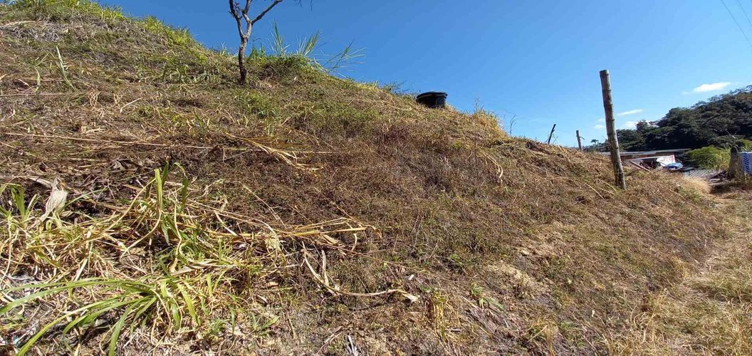 Lote en venta en Lleras, Manizales, 10000 m² · foto 10 de 24