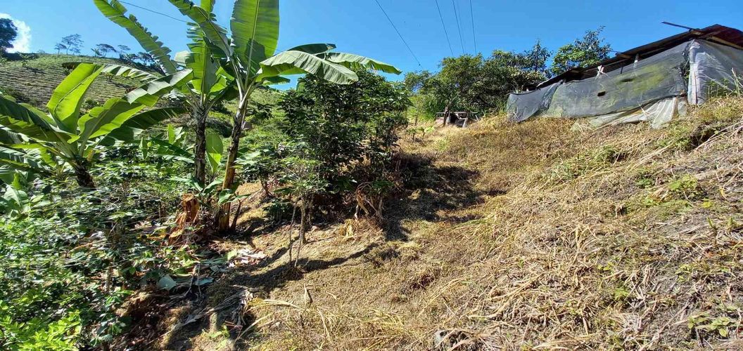 Lote en venta en Lleras, Manizales, 10000 m² · foto 12 de 24