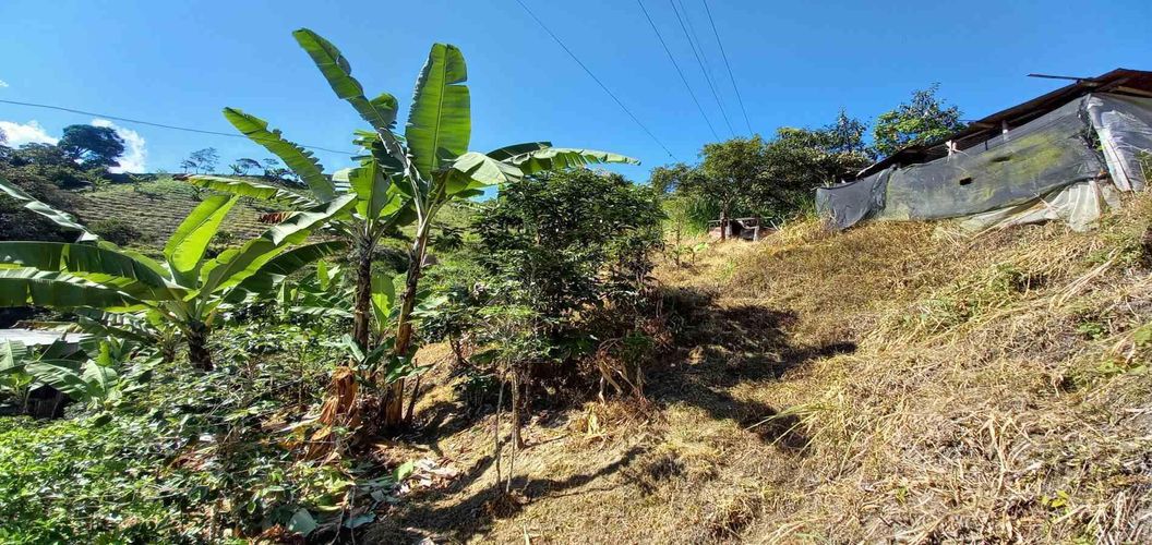 Lote en venta en Lleras, Manizales, 10000 m² · foto 13 de 24