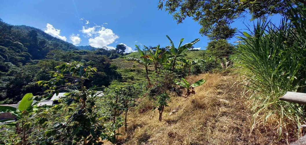 Lote en venta en Lleras, Manizales, 10000 m² · foto 14 de 24