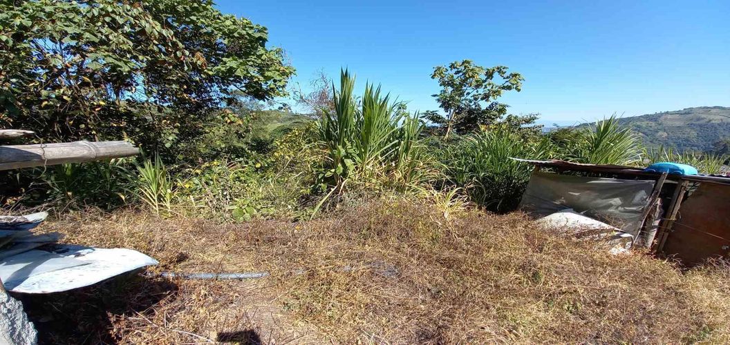 Lote en venta en Lleras, Manizales, 10000 m² · foto 18 de 24