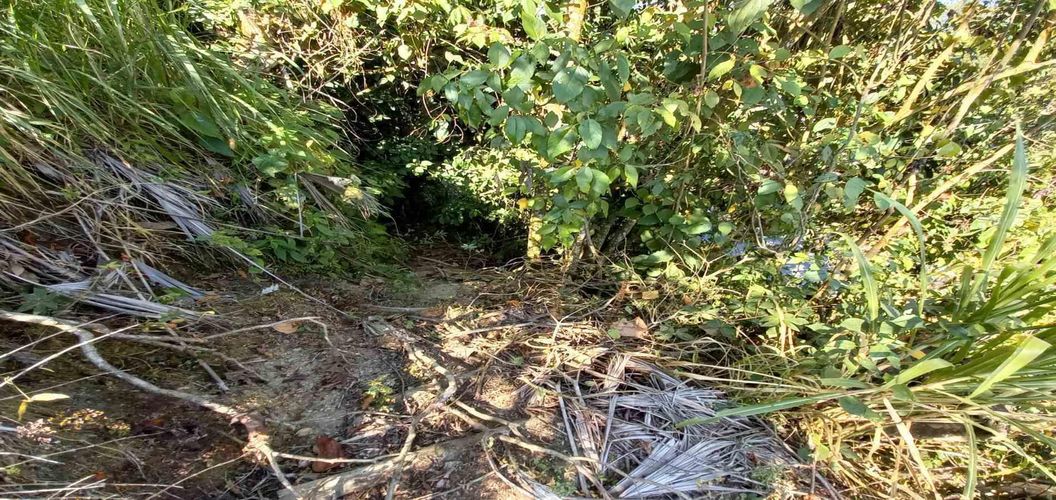 Lote en venta en Lleras, Manizales, 10000 m² · foto 19 de 24
