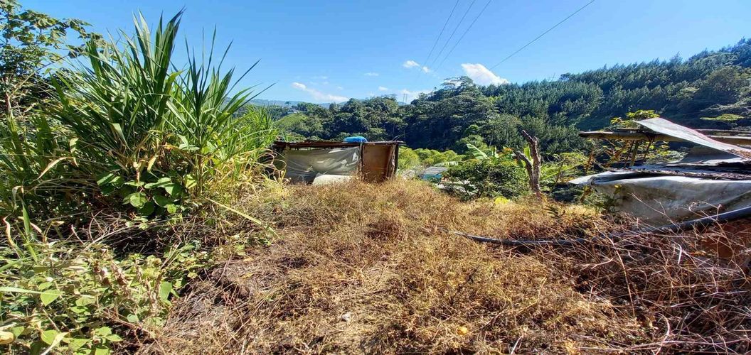 Lote en venta en Lleras, Manizales, 10000 m² · foto 21 de 24