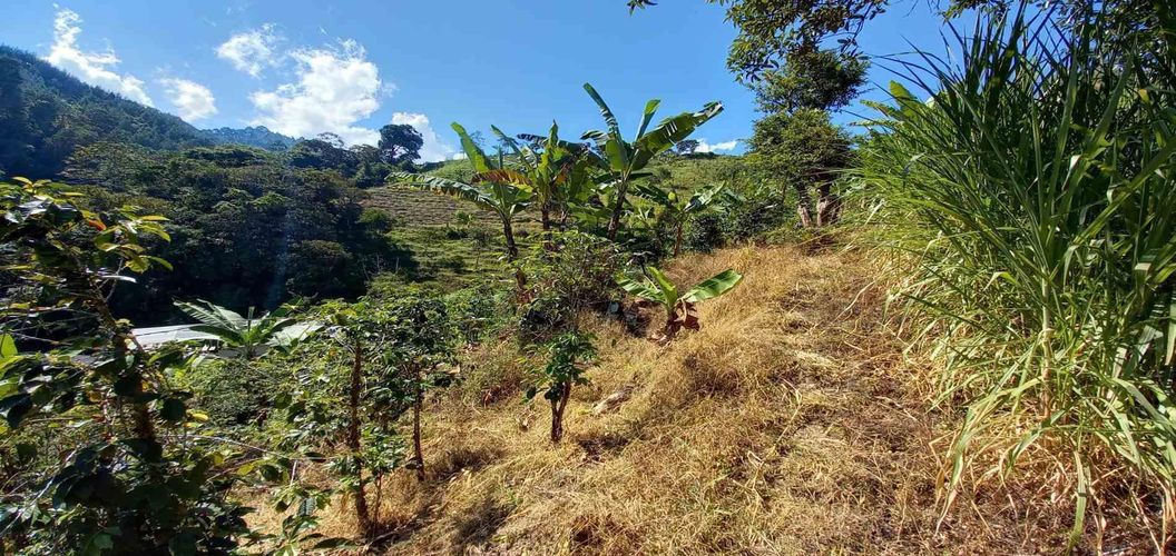 Lote en venta en Lleras, Manizales, 10000 m² · foto 23 de 24