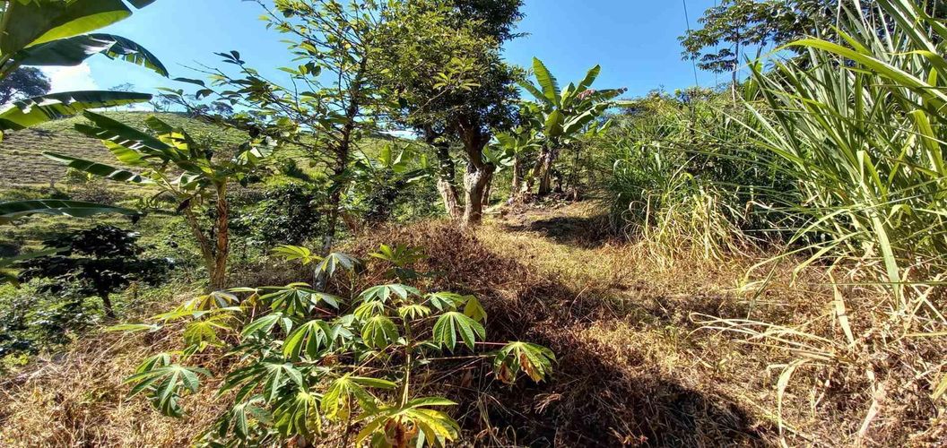 Lote en venta en Lleras, Manizales, 10000 m² · foto 24 de 24