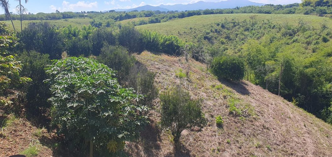 Lote en venta en Cerritos, Pereira · foto 4 de 13