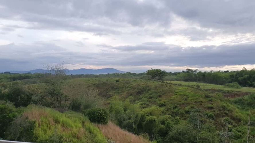 Lote en venta en Cerritos, Pereira · foto 8 de 13