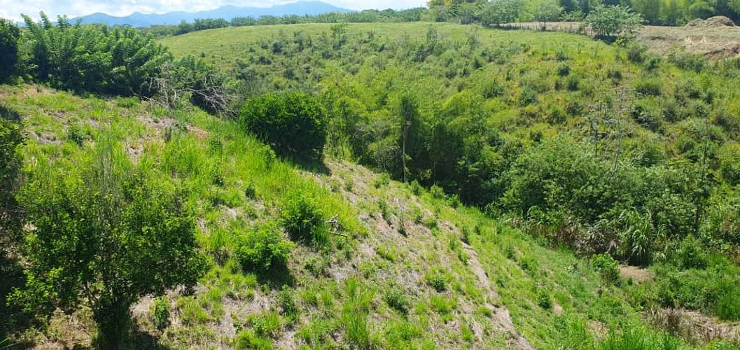 Lote en venta en Cerritos, Pereira · foto 9 de 13