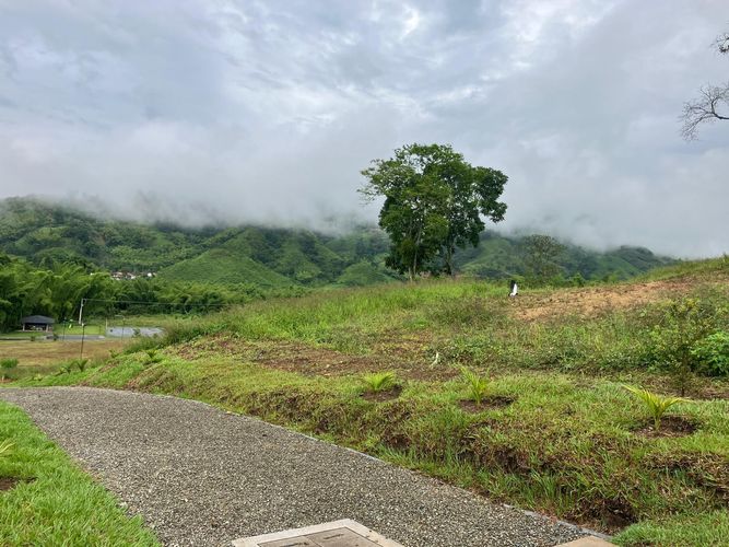 Lote en venta en Las Pavas, Manizales · foto 2 de 9