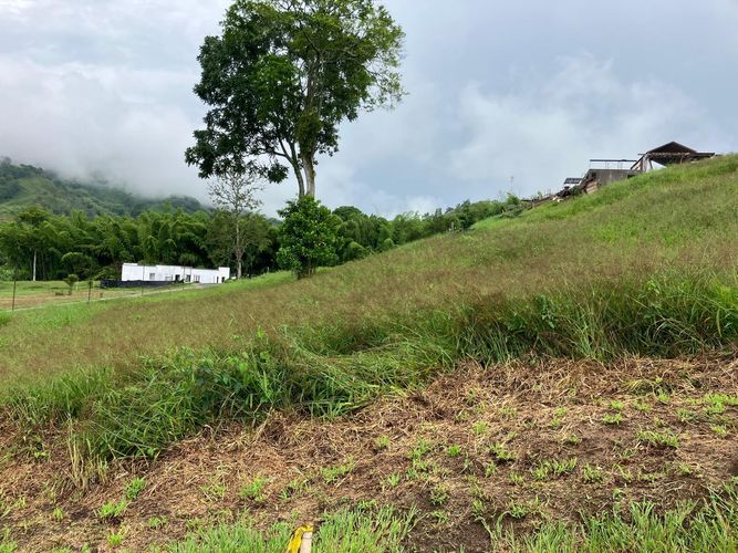 Lote en venta en Las Pavas, Manizales · foto 4 de 9