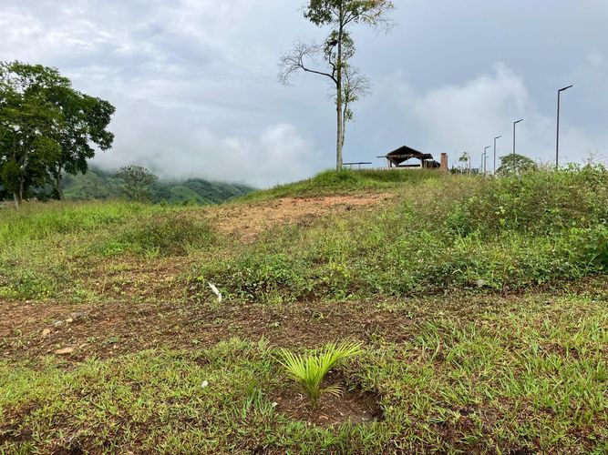 Lote en venta en Las Pavas, Manizales · foto 5 de 9