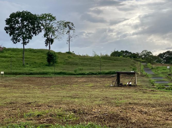 Lote en venta en Las Pavas, Manizales · foto 7 de 9