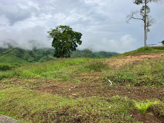 Lote en venta en Las Pavas, Manizales · foto 8 de 9