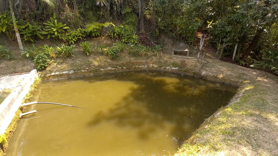 Lote en venta en San Peregrino, Manizales · foto 7 de 20
