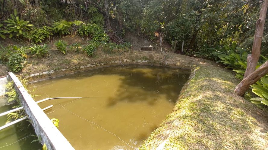 Lote en venta en San Peregrino, Manizales · foto 8 de 20