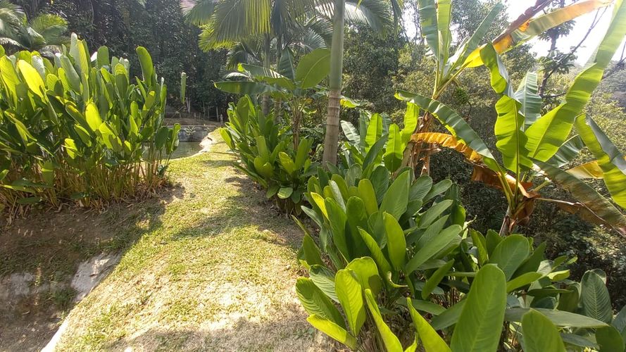 Lote en venta en San Peregrino, Manizales · foto 16 de 20