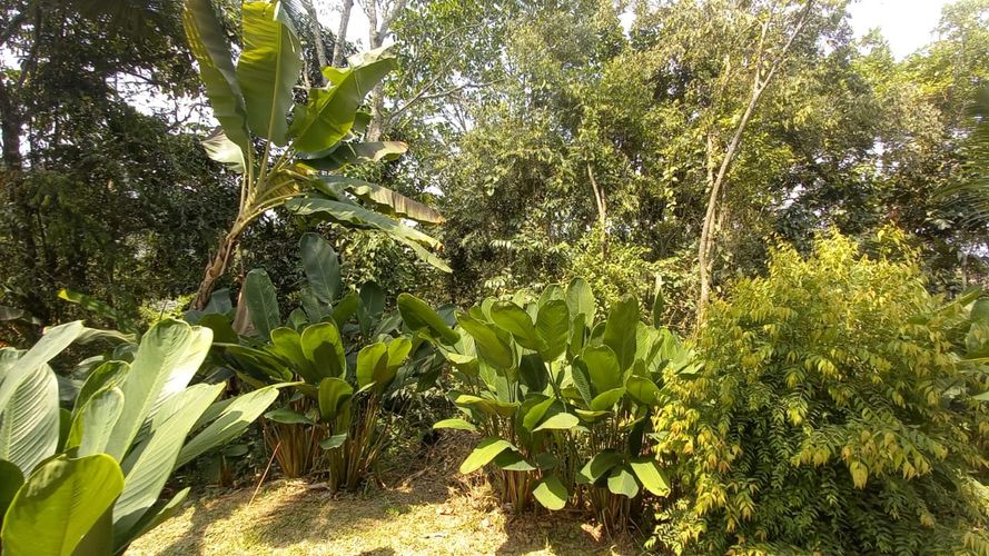 Lote en venta en San Peregrino, Manizales · foto 20 de 20