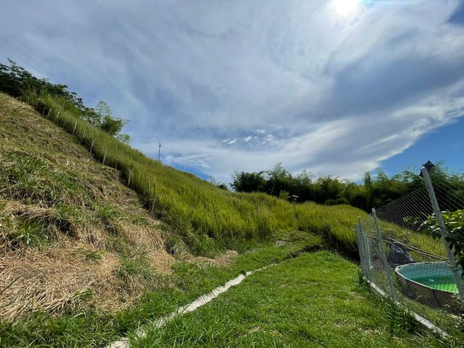 Lote en venta en Cerritos, Pereira · foto 8 de 21