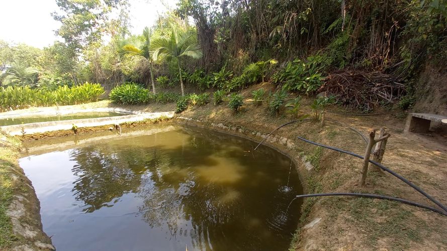 Lote en venta en San Peregrino, Manizales, 300 m² · foto 6 de 17