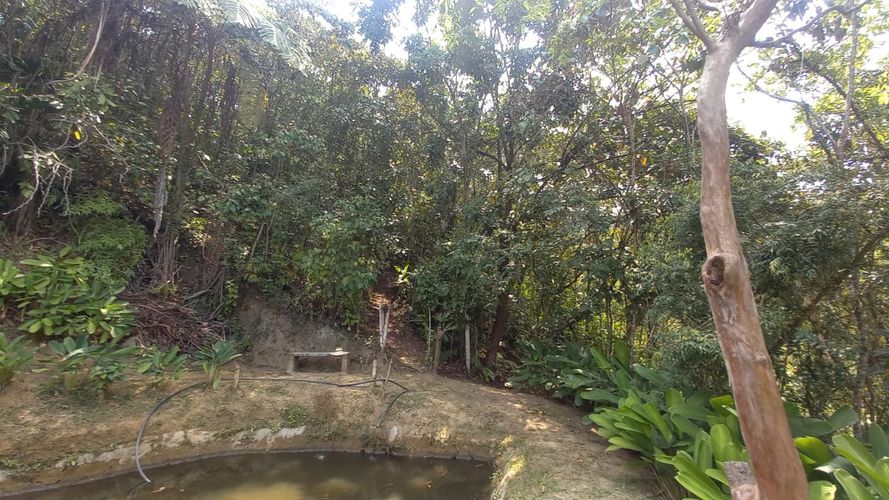 Lote en venta en San Peregrino, Manizales, 300 m² · foto 9 de 17