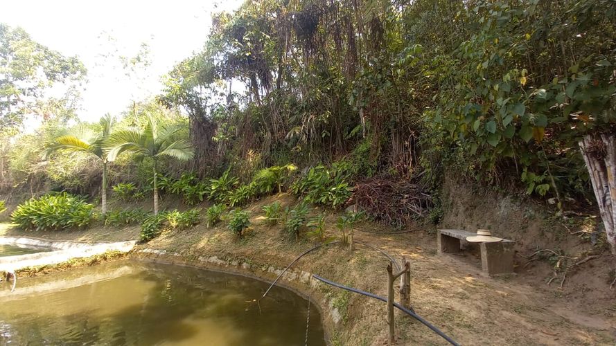 Lote en venta en San Peregrino, Manizales, 300 m² · foto 10 de 17