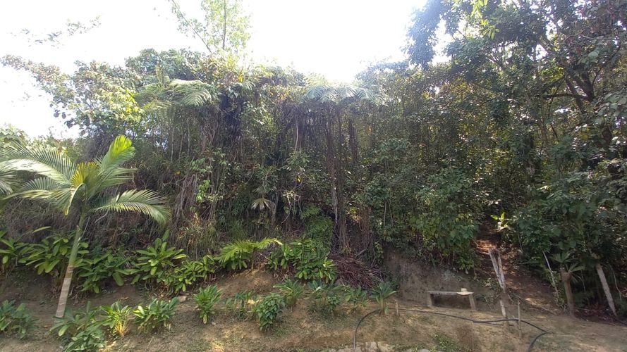 Lote en venta en San Peregrino, Manizales, 300 m² · foto 11 de 17