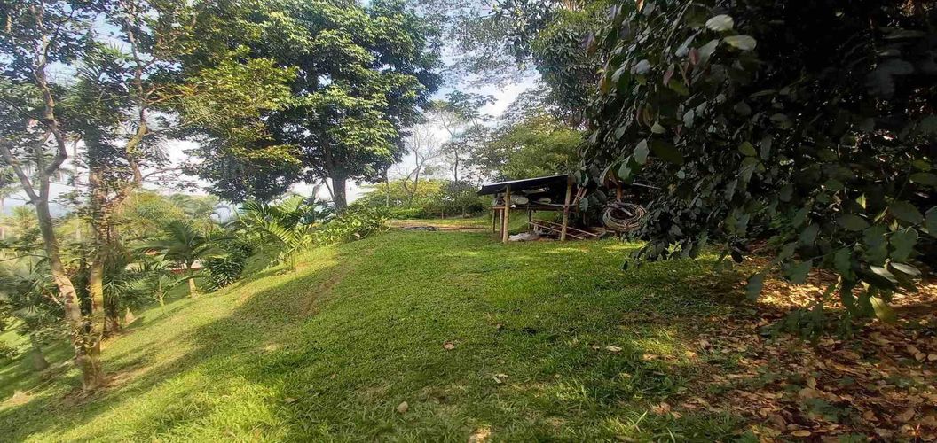 Lote en venta en San Peregrino, Manizales, 300 m² · foto 14 de 17
