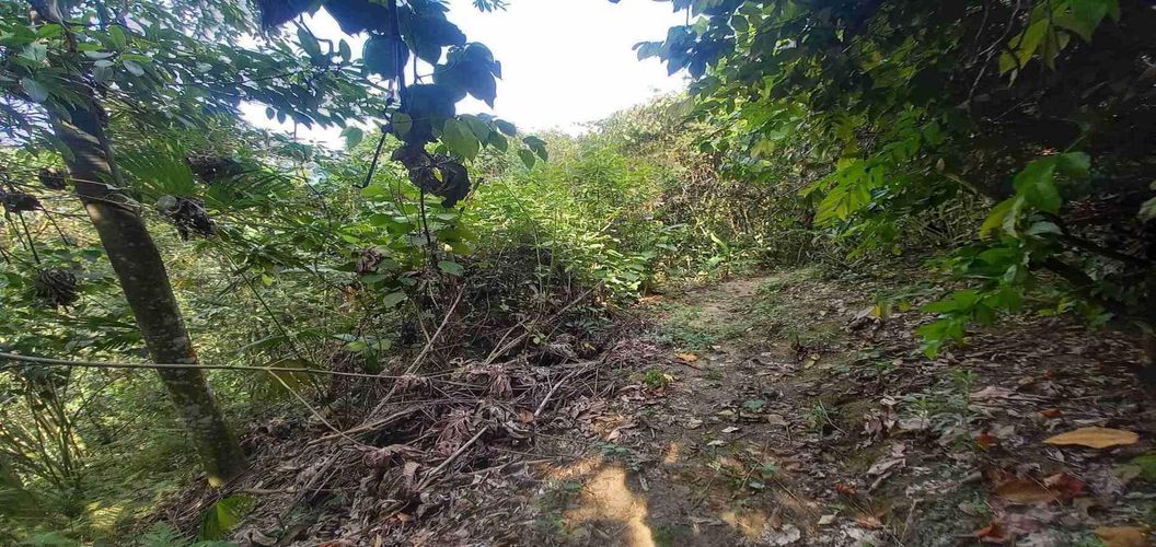 Lote en venta en San Peregrino, Manizales, 300 m² · foto 17 de 17