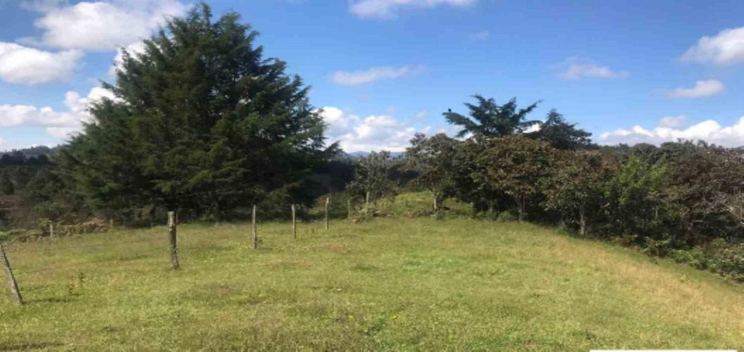 Lote en venta en El Rosario, Manizales, 110 m² · foto 3 de 9