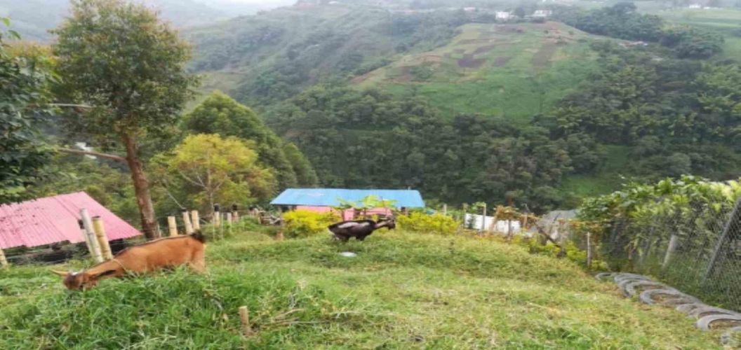 Lote en venta en El Rosario, Manizales, 110 m² · foto 4 de 9