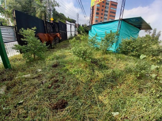 Lote en venta en Alto Del Perro, Manizales, 1280 m² · foto 2 de 24