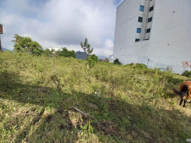 Lote en venta en Alto Del Perro, Manizales, 1280 m² · foto 5 de 24