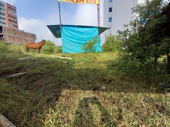 Lote en venta en Alto Del Perro, Manizales, 1280 m² · foto 6 de 24