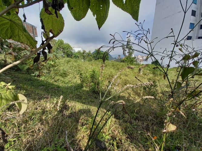 Lote en venta en Alto Del Perro, Manizales, 1280 m² · foto 12 de 24