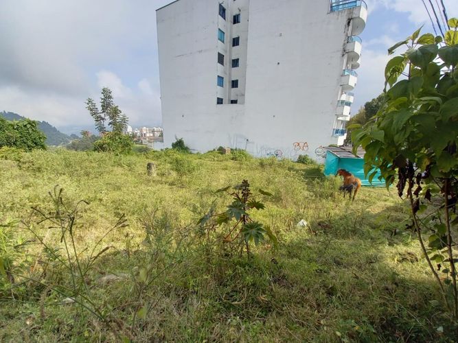 Lote en venta en Alto Del Perro, Manizales, 1280 m² · foto 13 de 24